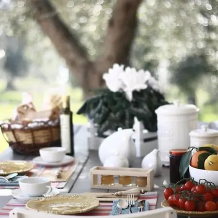 Holiday home Lamia Degli Ulivi *