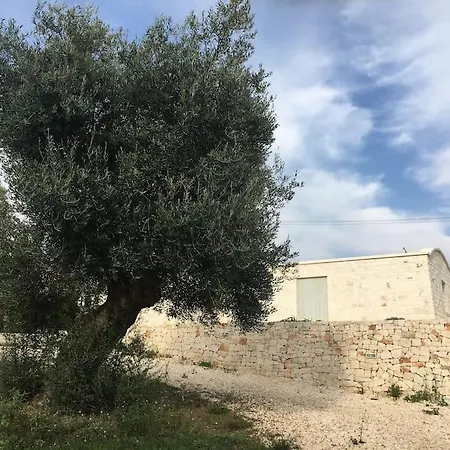 Lamia Degli Ulivi * Cisternino