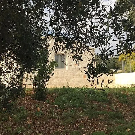 Lamia Degli Ulivi * Cisternino