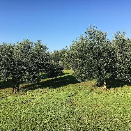 Lamia Degli Ulivi Holiday home Cisternino